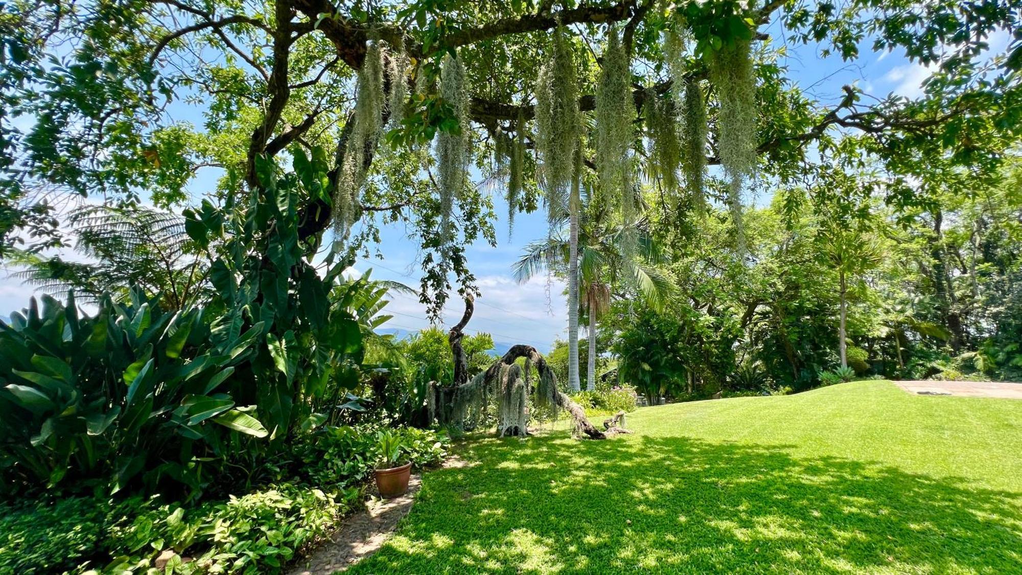 נלספרויט Loerieroep Estate - Mountainview Selfcatering Accommodation Nelspruit מראה חיצוני תמונה